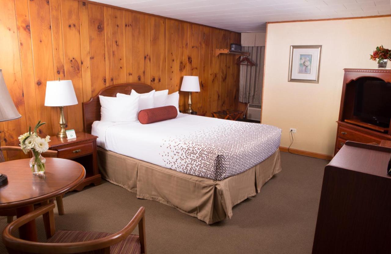 Knotty Pine Motel Bennington Exteriör bild